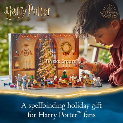 LEGO 76438 Harry Potter Advent Calendar 2024 Building Toy Set (301