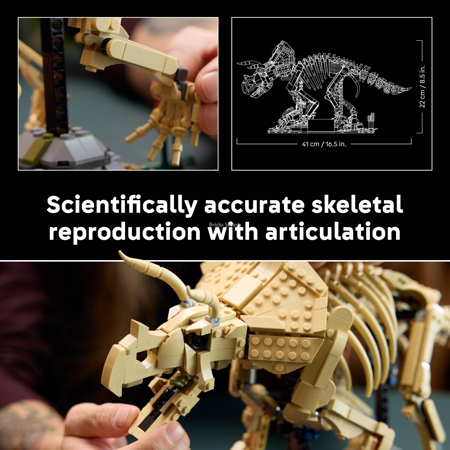 LEGO 77985 Jurassic World Dinosaur Fossils: Triceratops Building