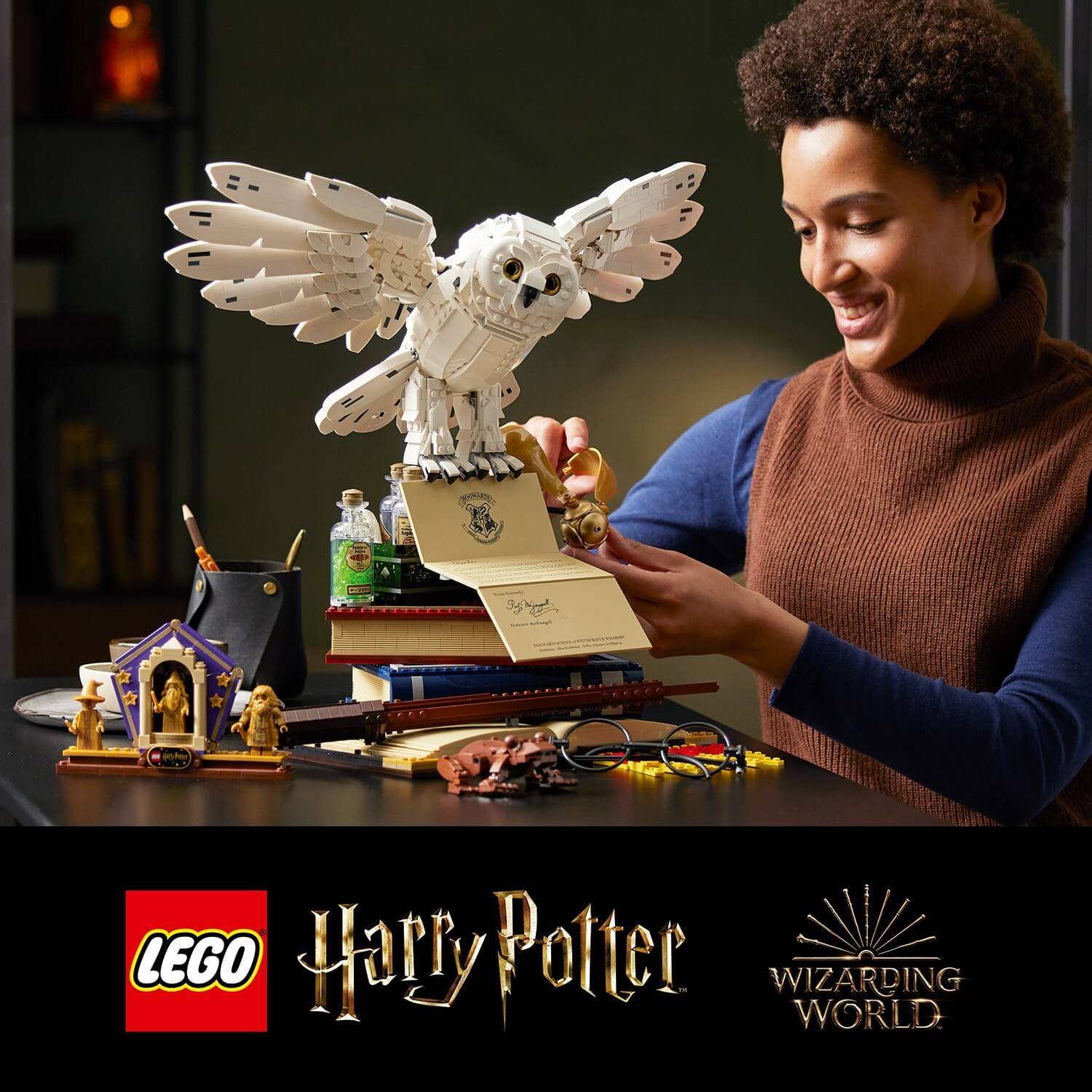 76391 LEGO Harry Potter Hogwarts Icons Collectors Edition (3010